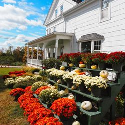 McDougal Orchards