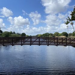 Ilene Lieberman Botanical Gardens