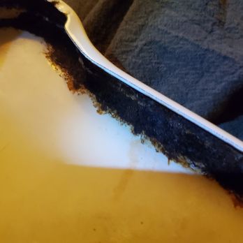 Ace Appliances Repair - Rust that isnt covered by insurance - Appliances & Repair Near Me Ace Appliances Repair - Rust that isnt covered by insurance - Appliances & Repair Near Me
