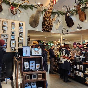 Paxton Gate - Interior - front - Jewelry Near Me - Portland, Oregon
