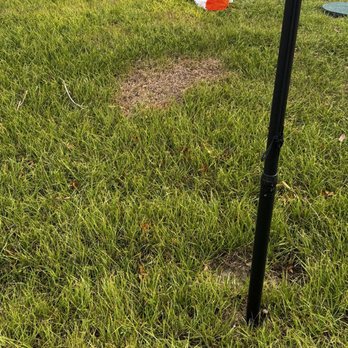TruGreen Lawn Care - Dead spots - Tree Services Near Me - Sarasota, Florida TruGreen Lawn Care - Dead spots - Tree Services Near Me - Sarasota, Florida