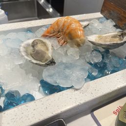 Huge Shrimp and Oysters :)