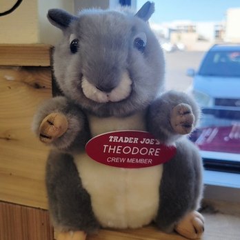 Trader Joe's - Every crew member I came across was so friendly, including Theodore the squirrel. - Grocery Near Me - Northridge, California