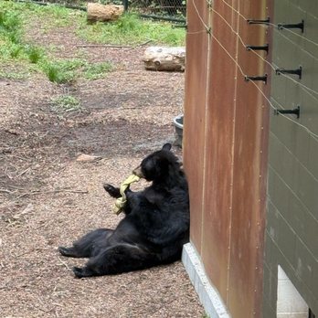 Sequoia Park Zoo - Zoos Near Me - Eureka, California Sequoia Park Zoo - Zoos Near Me - Eureka, California