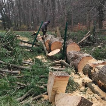 JT Outdoor Services & Home Improvement - Storm damage - Tree Services Near Me - Culpeper, Virginia JT Outdoor Services & Home Improvement - Storm damage - Tree Services Near Me - Culpeper, Virginia
