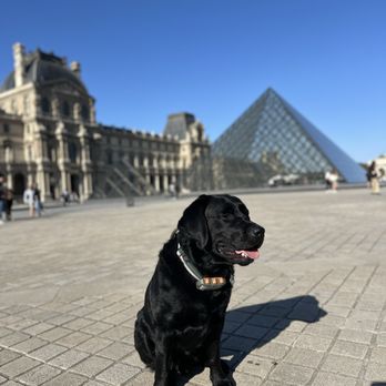 Musée du Louvre - Museums Near Me - Paris, 75