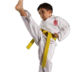 Academy of Martial Arts