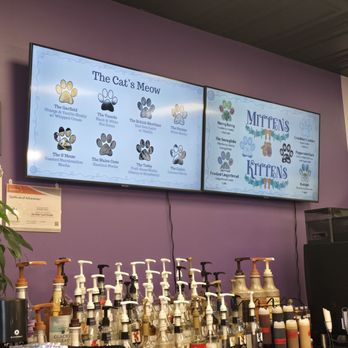 Purrfect Pair Cat Cafe - Themed Cafes Near Me - Rock Hill, South Carolina Purrfect Pair Cat Cafe - Themed Cafes Near Me - Rock Hill, South Carolina