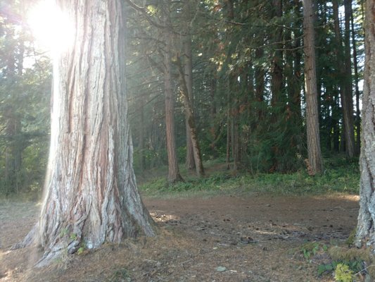 Baker Bay Park by null