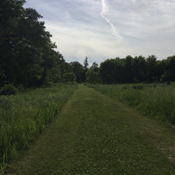 Independence Lake County Park - Gorgeous - Parks Near Me - Whitmore Lake, Michigan Independence Lake County Park - Gorgeous - Parks Near Me - Whitmore Lake, Michigan