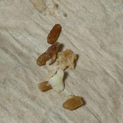 Taco Time - Old, dried out, hard as a rock rice. Both burritos were full of it.