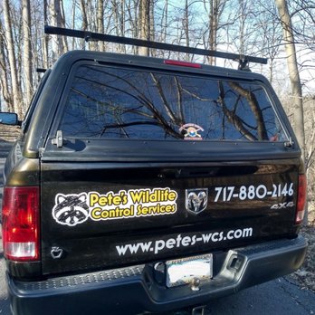 Pete's Wildlife Control Services - Wildlife Control Near Me Pete's Wildlife Control Services - Wildlife Control Near Me
