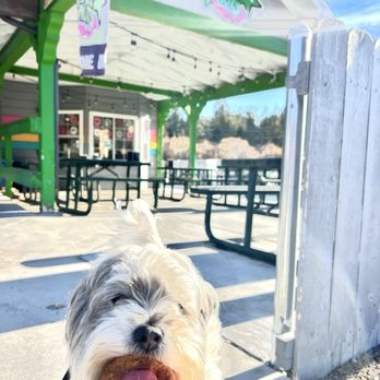 Dank Donuts - Coffee & Tea Near Me - Big Bear Lake, California