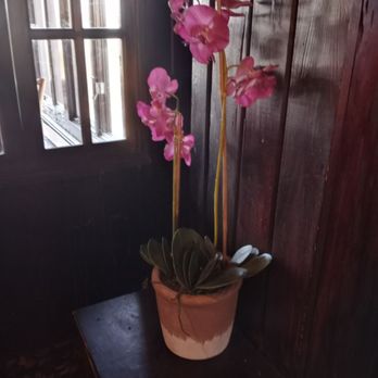 Thai Elephant 2 - a pink orchid in a pot - Thai Near Me - Patterson, New York