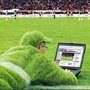 Photo of tipalot.com