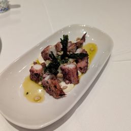 Octopus Octopus