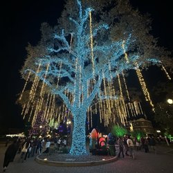 Downtown City Park