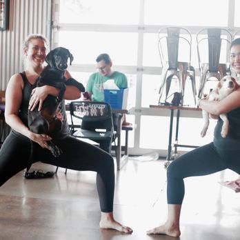 Arlington Yoga Center - Puppy Yoga - Yoga Near Me - Arlington, Texas Arlington Yoga Center - Puppy Yoga - Yoga Near Me - Arlington, Texas