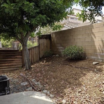 Trujillo Tree Service - Tree Services Near Me Trujillo Tree Service - Tree Services Near Me