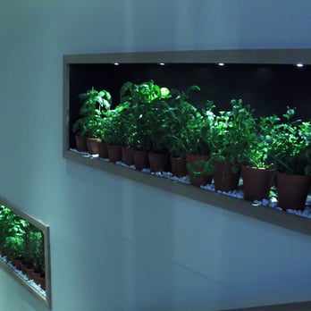 Vapiano - "So Basilico"... - Italian Near Me - Marseille, 13
