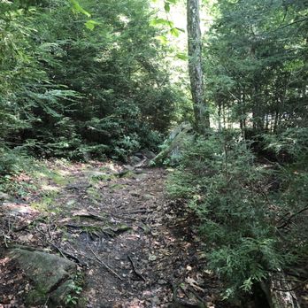 The Walkabout Trail - Start of the Trail - Hiking Near Me - Chepachet, Rhode Island