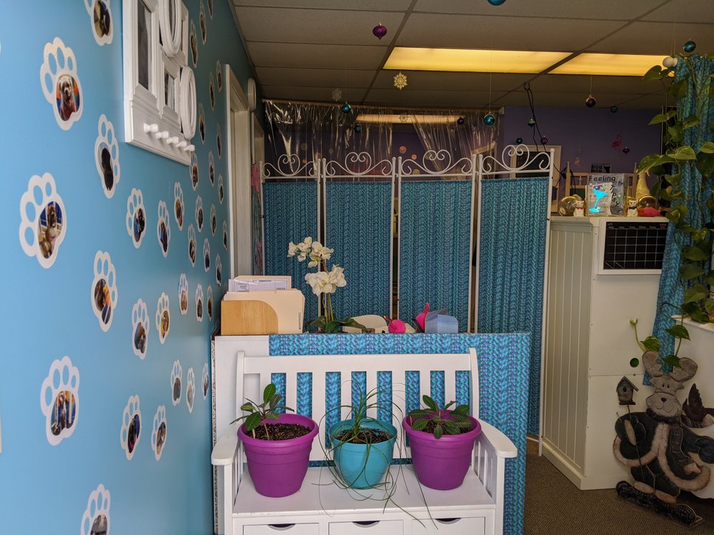 HAIR OF THE DOG K9 SALON Updated June 2024 18 Photos 9530 N