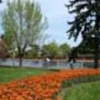 Mooney's Bay Park - Parks Near Me - Ottawa, Ontario