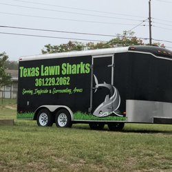 Texas Lawn Sharks