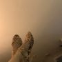 Photo of Teddy Shoes