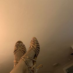 Teddy Shoes - Dance shoes!