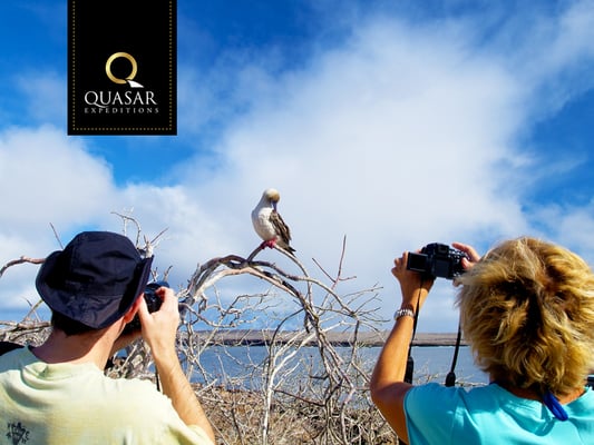 Quasar Expeditions by null