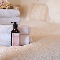 The Shepherds Purse - Organic products in every room. Limited plastic