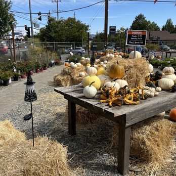 Moana Nursery - Landscaping Near Me - Reno, Nevada Moana Nursery - Landscaping Near Me - Reno, Nevada
