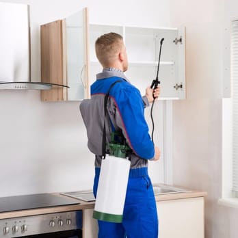 Condor Pest Control - Pest Control Near Me Condor Pest Control - Pest Control Near Me