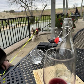 Shadow Ranch - Wine tasting and yes dog friendly patio. - Wineries Near Me - Somerset, California