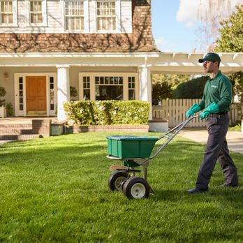 TruGreen Lawn Care - Lawn Services Near Me - Harrington, Delaware TruGreen Lawn Care - Lawn Services Near Me - Harrington, Delaware