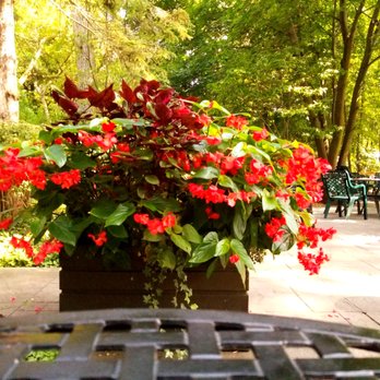 The Rectory Café - Flowers and trees everywhere on the back patio. - Cafes Near Me - Toronto, Ontario The Rectory Café - Flowers and trees everywhere on the back patio. - Cafes Near Me - Toronto, Ontario