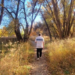 Path in the trees near the park/creek.