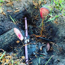 One Touch Irrigation