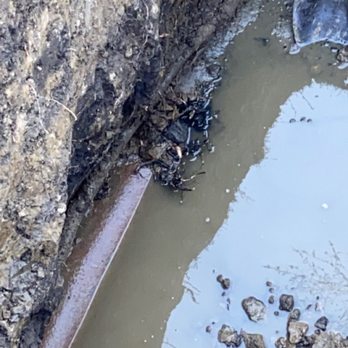 Do Right Rooter Drain Specialists - Clean out 12/2022 - Plumbing Near Me - Bridgeview, Illinois Do Right Rooter Drain Specialists - Clean out 12/2022 - Plumbing Near Me - Bridgeview, Illinois