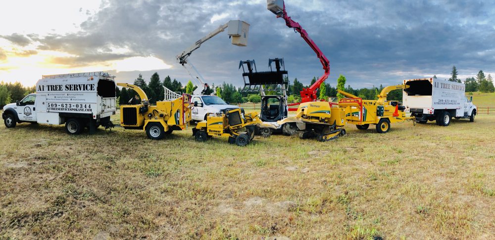 A1 Tree Service - tree service in Spokane Valley, WA