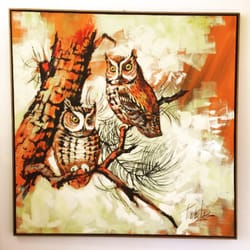 Space - There are more than a few owls in the shop!