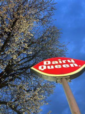 Dairy Queen by null