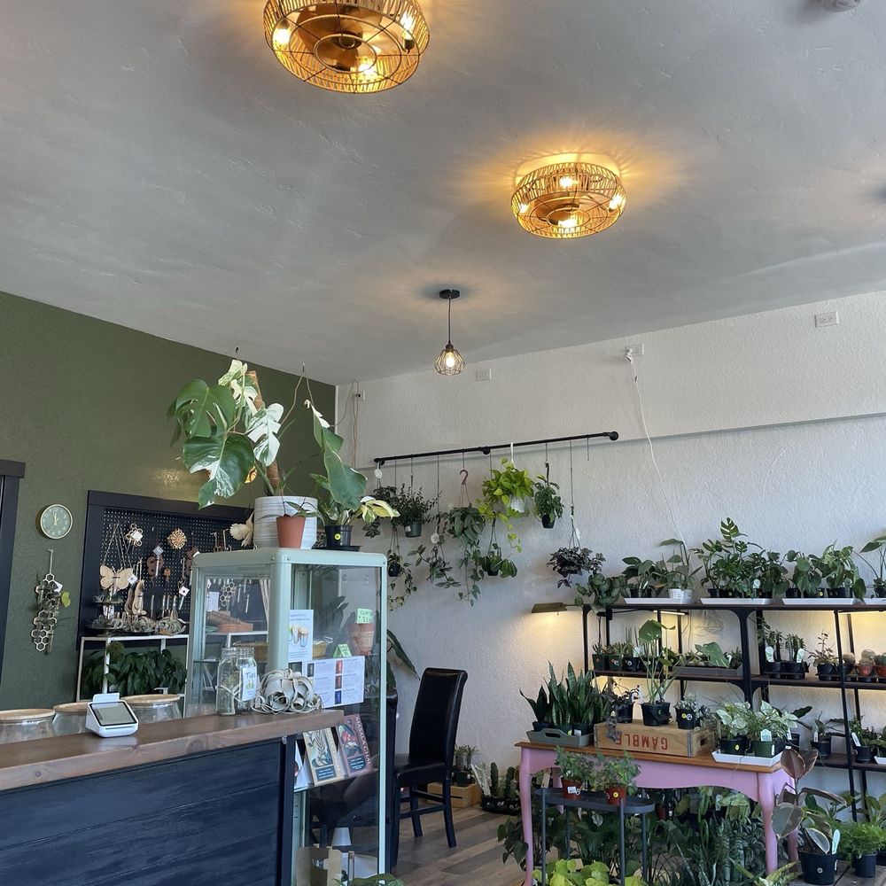 Vagabond Coffee - Inside - Coffee & Tea Near Me - Centralia, Washington Vagabond Coffee - Inside - Coffee & Tea Near Me - Centralia, Washington