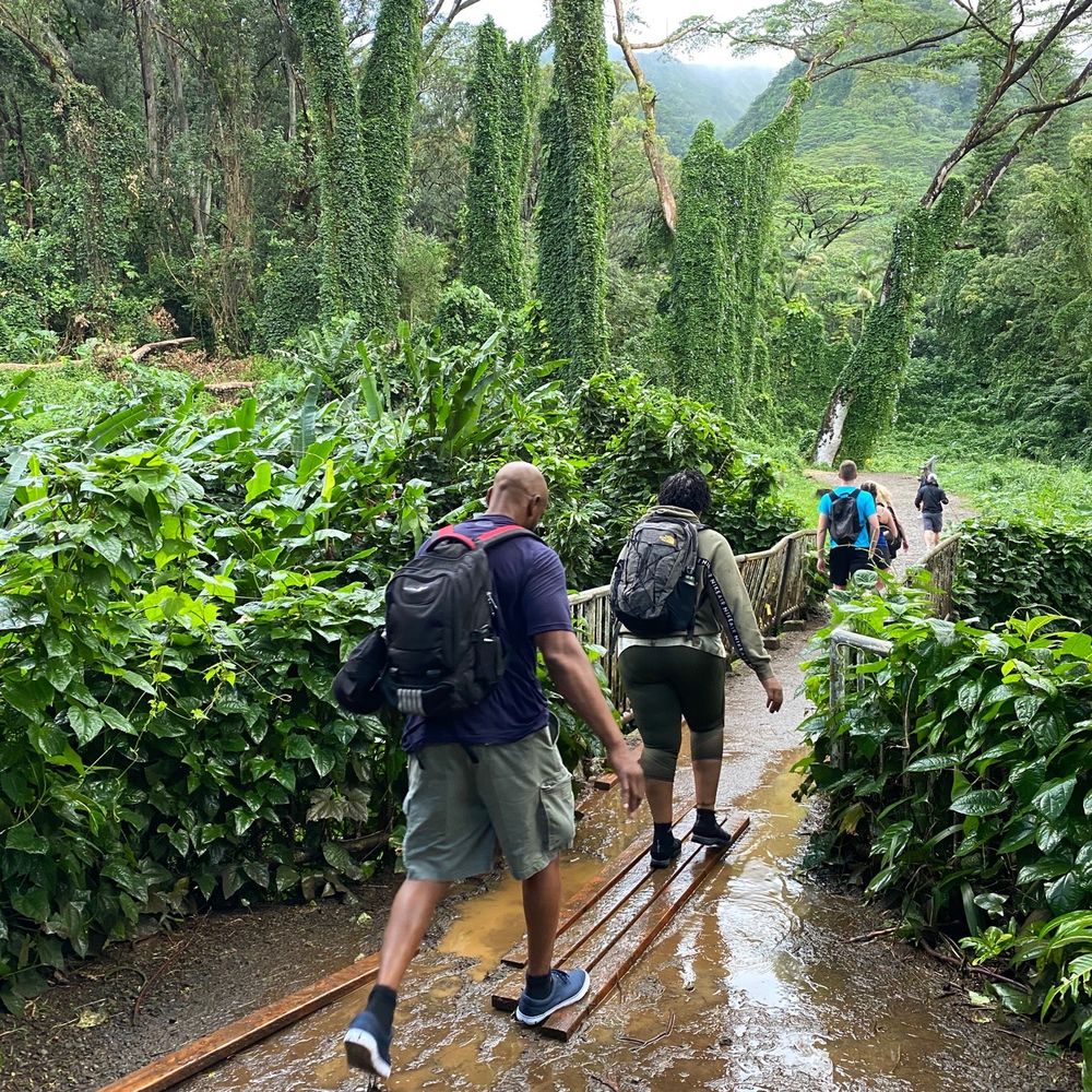 City Running Tours Honolulu - Manoa Falls - Walking Tours Near Me - Honolulu, Hawaii