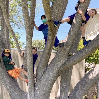 Esther, the Art Teacher! - Art camp! - Day Camps Near Me - Berkeley, California
