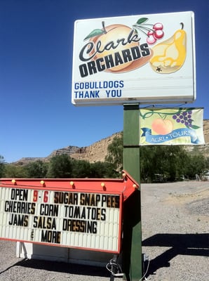 Clark Family Orchards by null