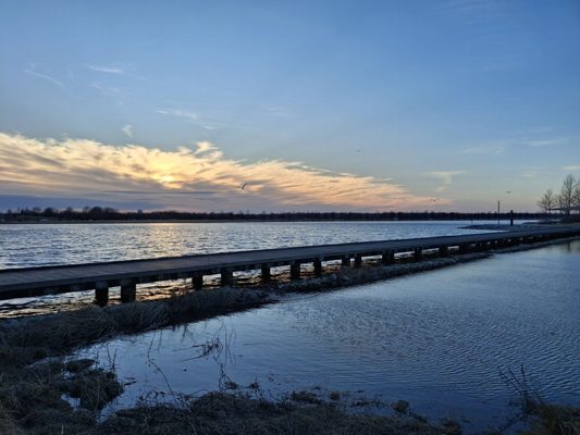 Shelby Farms Park by null