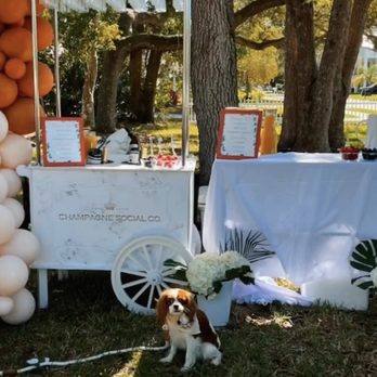 Furry Ventures Pet Care - Pet Sitting Near Me