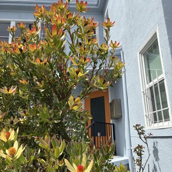 MB Jessee Painting - Painters Near Me - Oakland, California MB Jessee Painting - Painters Near Me - Oakland, California